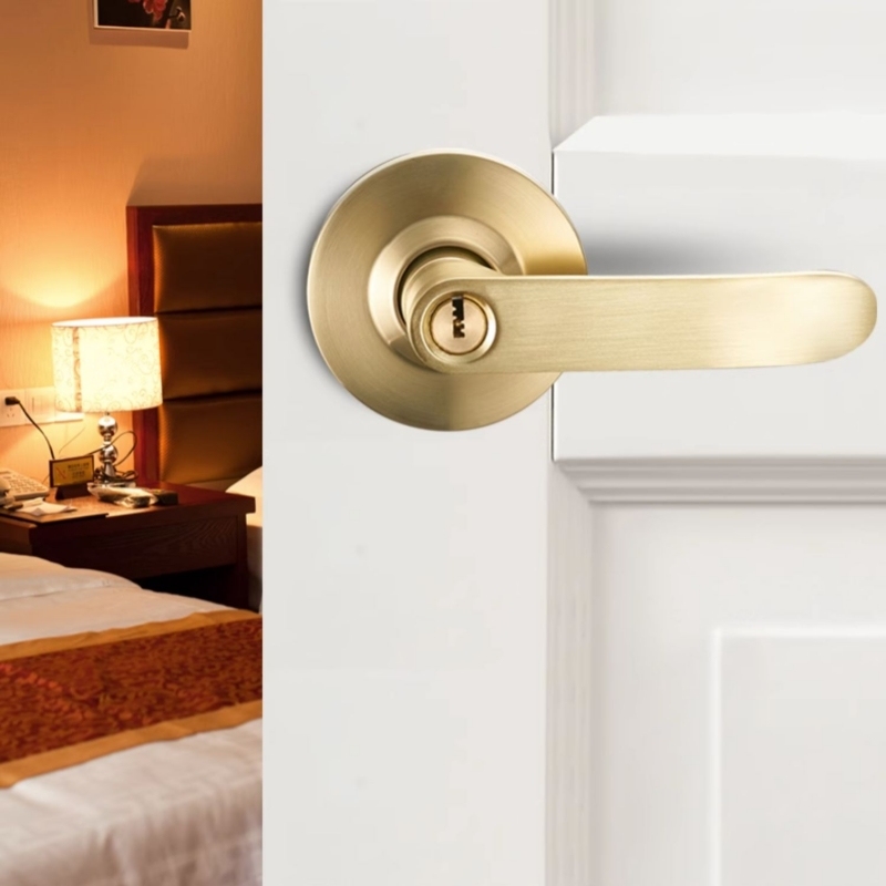 Stainless Steel Interior Door  - Door Knob Replacement recensione e prezzo